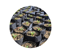 SKYPEAT S 23400 大容器的 盆栽植物和观赏植物 种植土