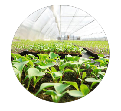  SKYPEAT S 23378 播种ECO种植土